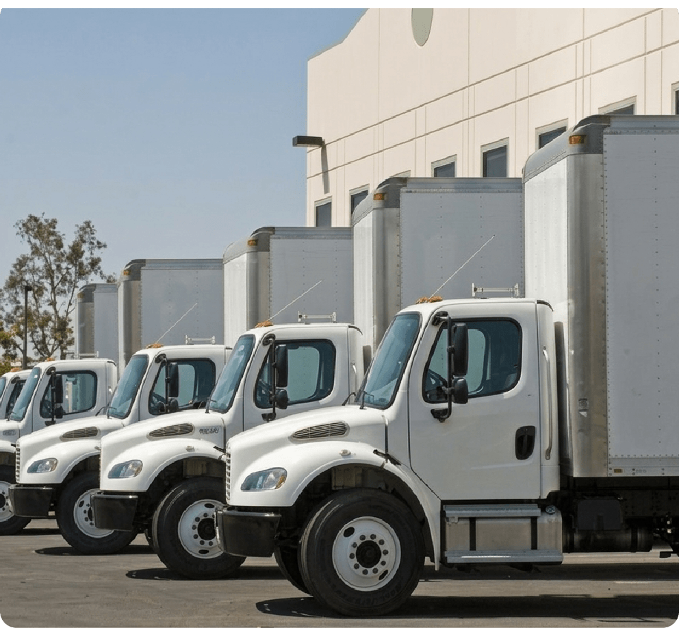 Servicio